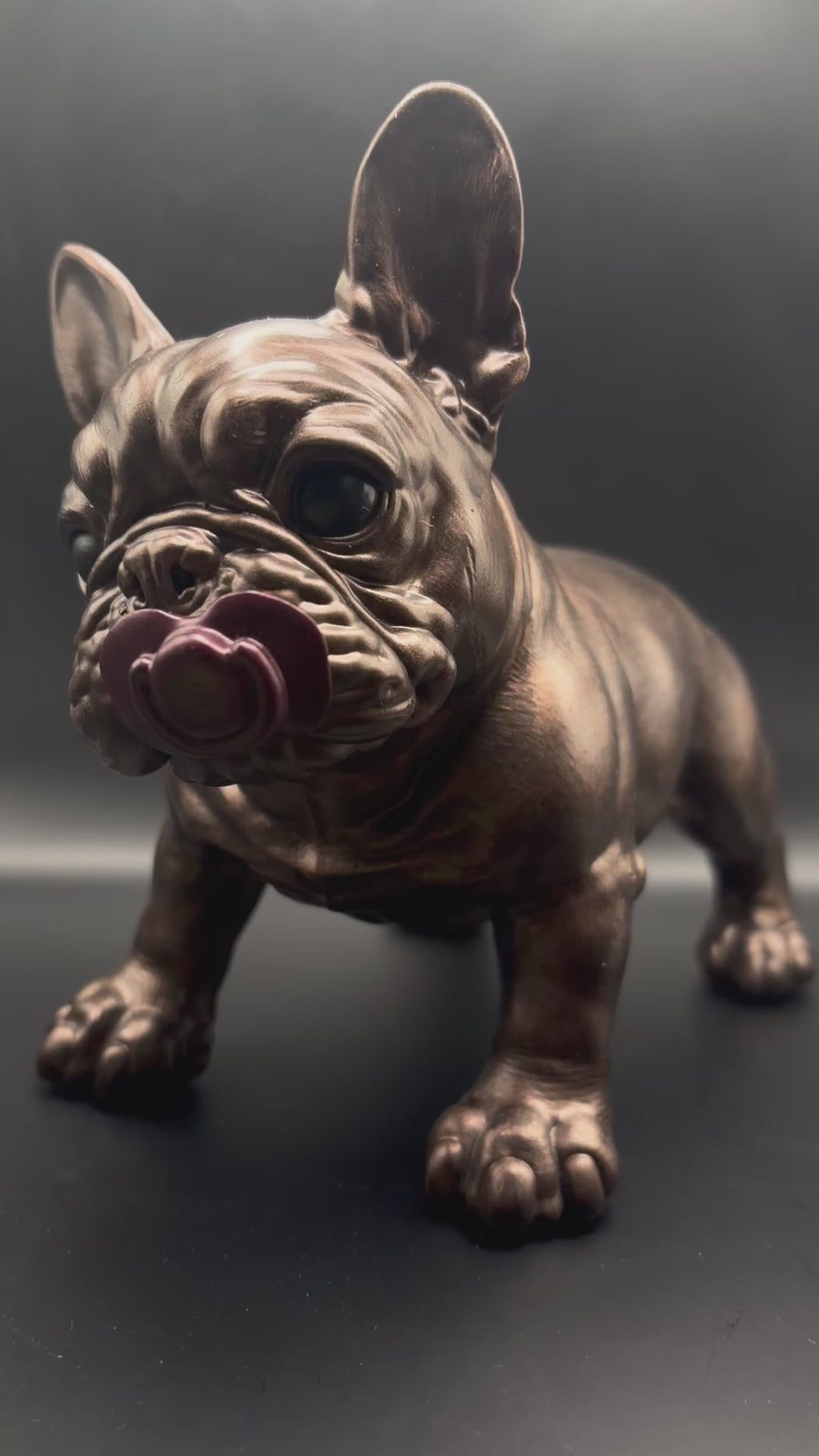 PET EDITION